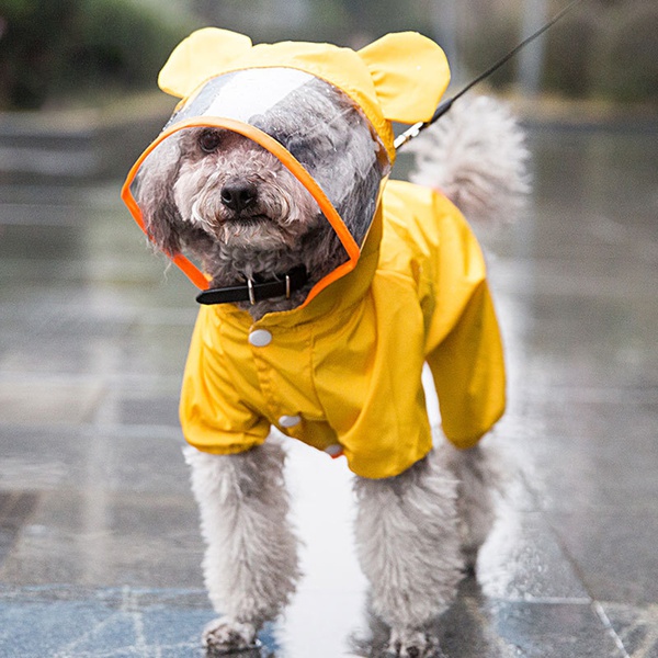 Cute Pet Raincoat